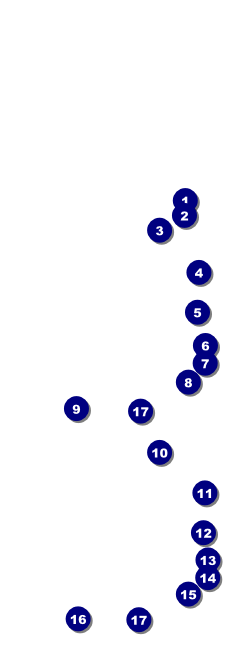 Travel Event Ticket Front Field Markers