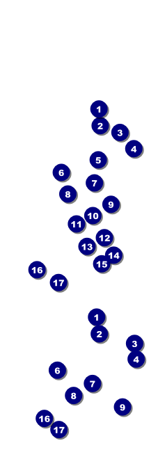 Cancun Event Ticket Front Field Markers