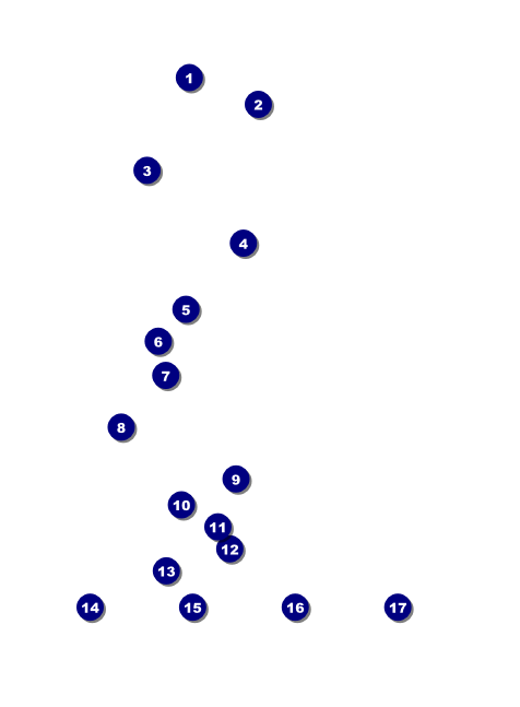 Snowboarding Invitation Front Field Markers