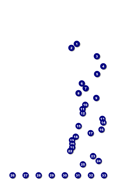 Phoenix Poster Front Field Markers