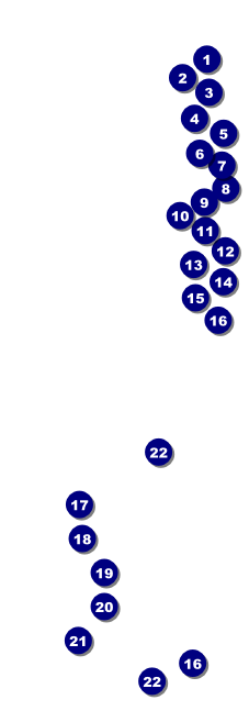 Vermont Raffle Ticket Front Field Markers