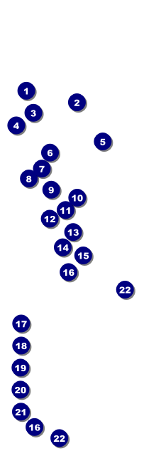 Delaware Raffle Front Field Markers