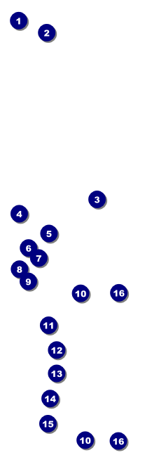 Hanukkah Menorah Raffle Ticket Front Field Markers