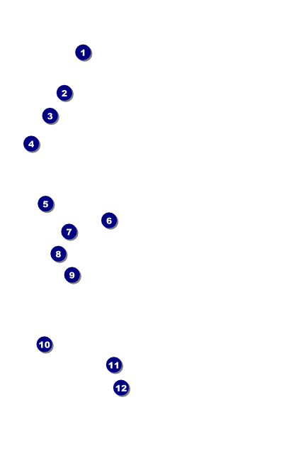 Tennessee Drink Ticket Front Field Markers