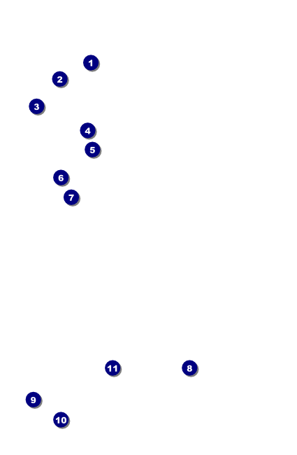 Arizona Drink Ticket Front Field Markers