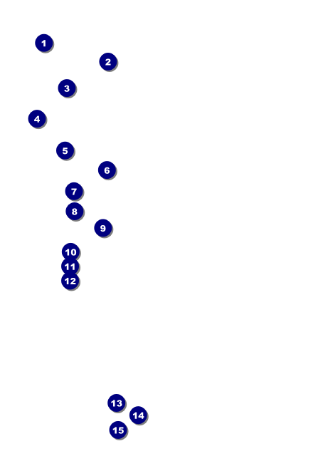 South Dakota Club Flyer Front Field Markers